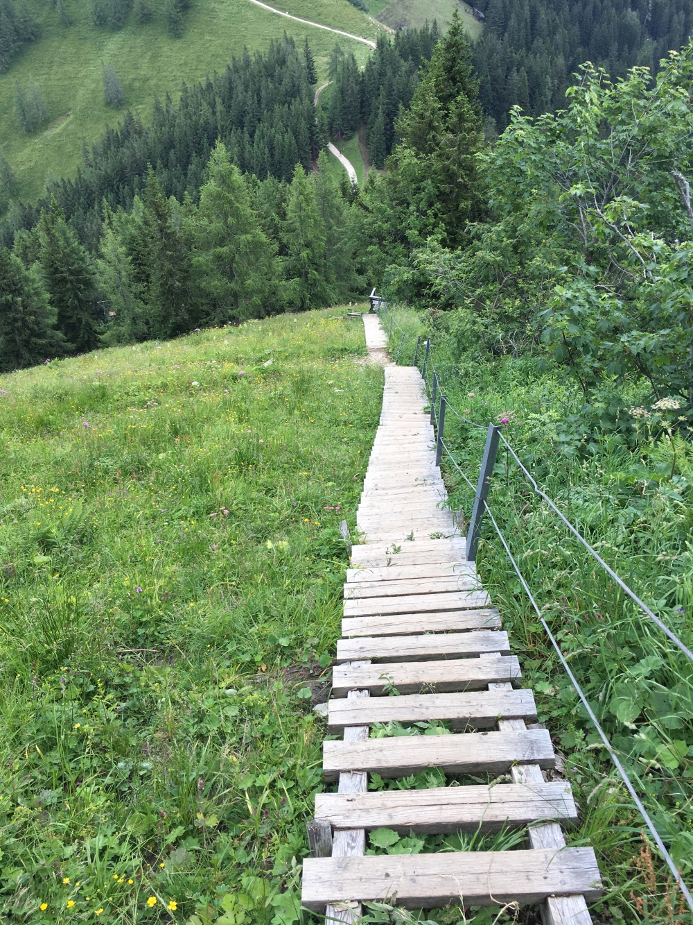 Klettersteig Hoher Göll: Viele Stufen (Vorsicht bei Nässe)