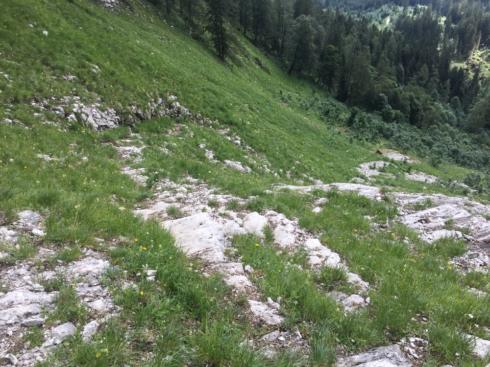 Klettersteig Hoher Göll: Steil aber leicht zu finden
