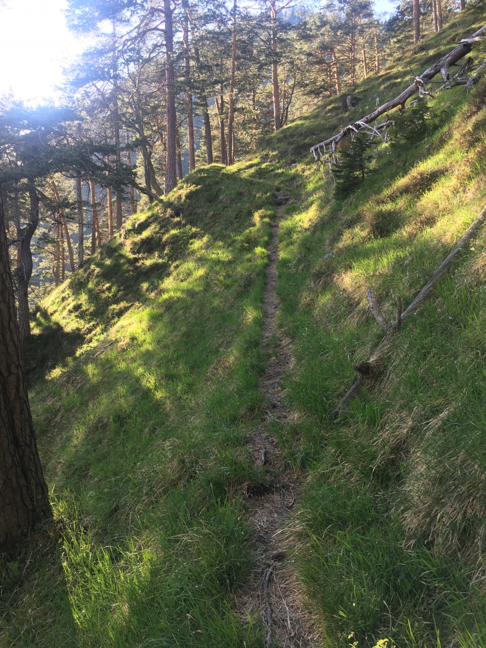 Wanderung Hoher Ziegspitz: Es geht stetig bergan