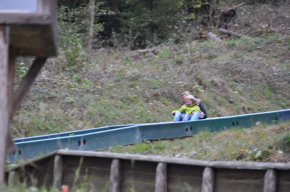 Wanderung Schliersberg-Alm: Sommerrodelbahn