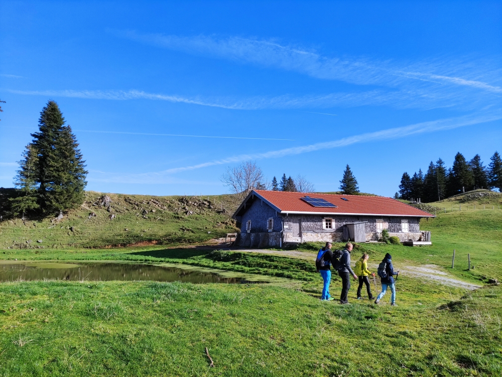 Wanderung Farrenpoint: Wanderung Farrenpoint: Huberalm mit Teich