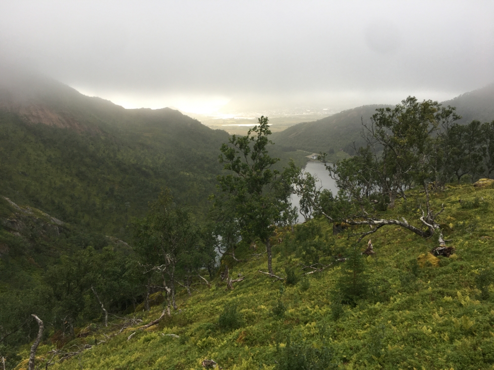 Wanderung Staven: Wanderung Staven: Blick über den Stavdalsvatnet zur Hütte am Nordende (Hütte Stavdalsvatnet)