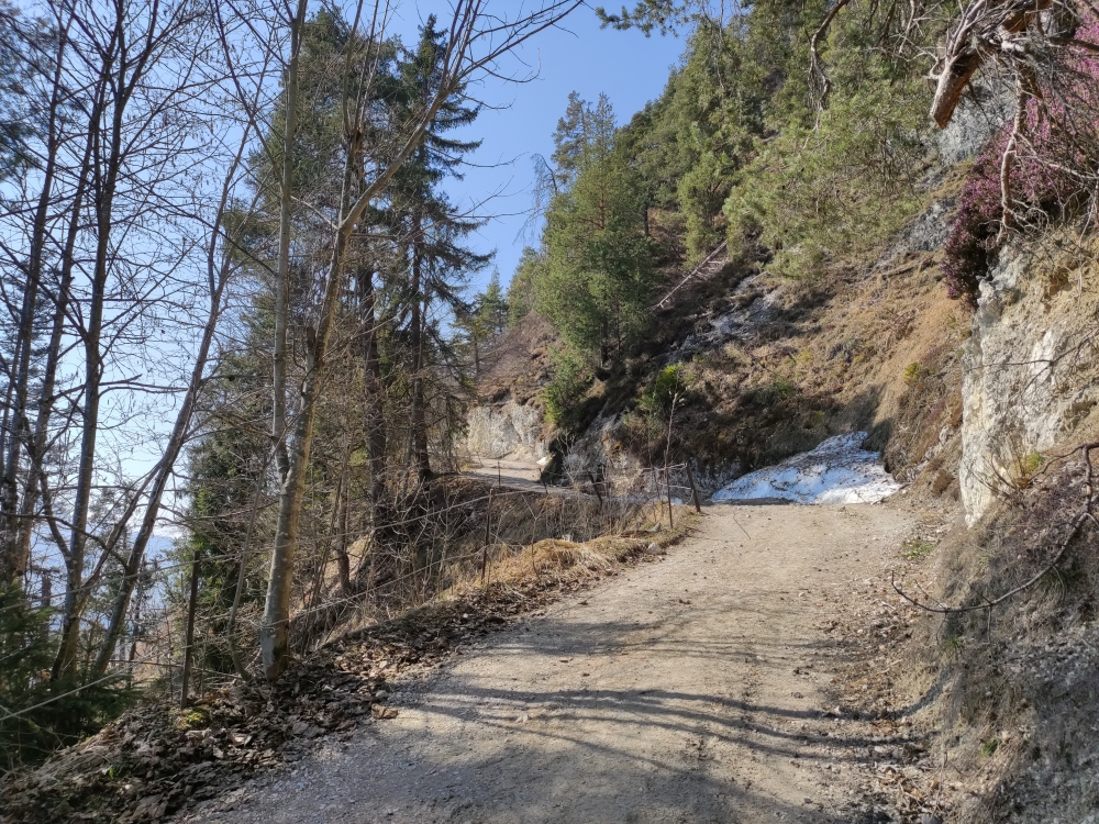 Wanderung Hundsalmjoch: Teilweise Forststraße