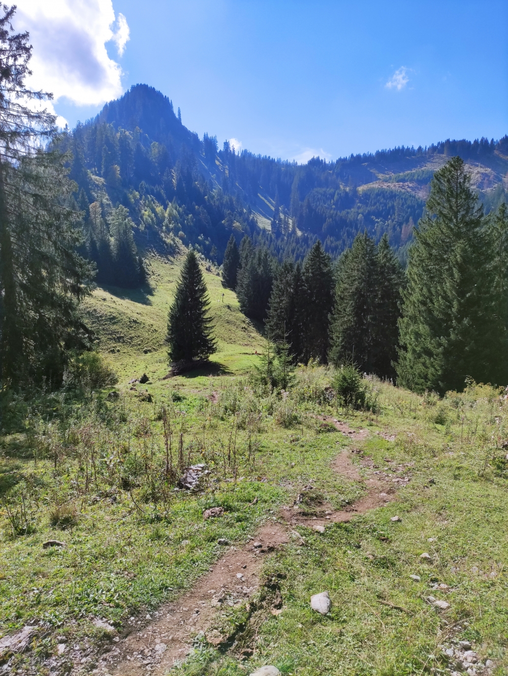 Wanderung Imberger Horn: Straußbergsattel