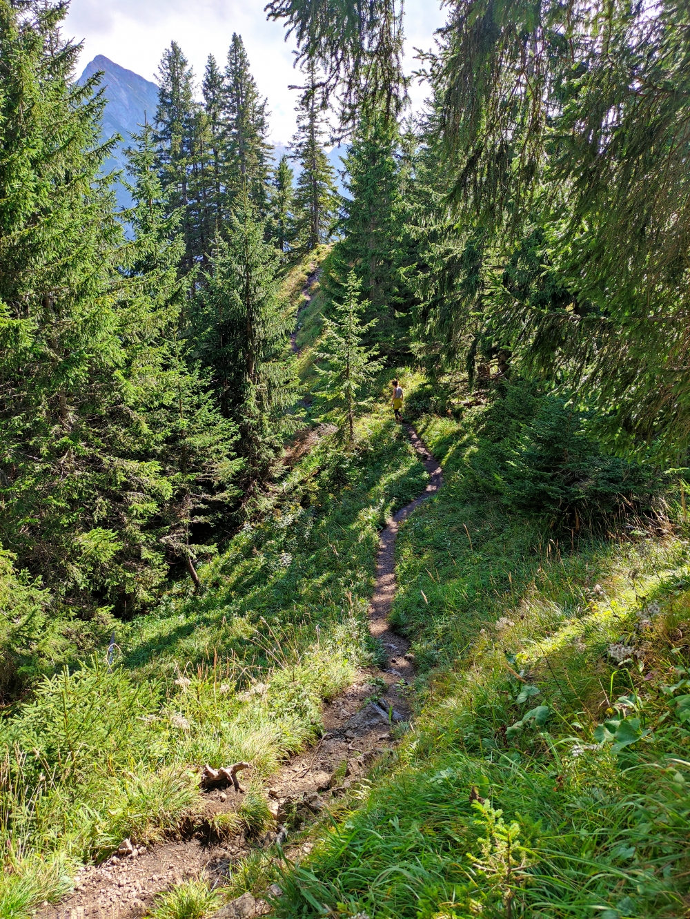 Wanderung Imberger Horn: Zwischen den Gipfeln