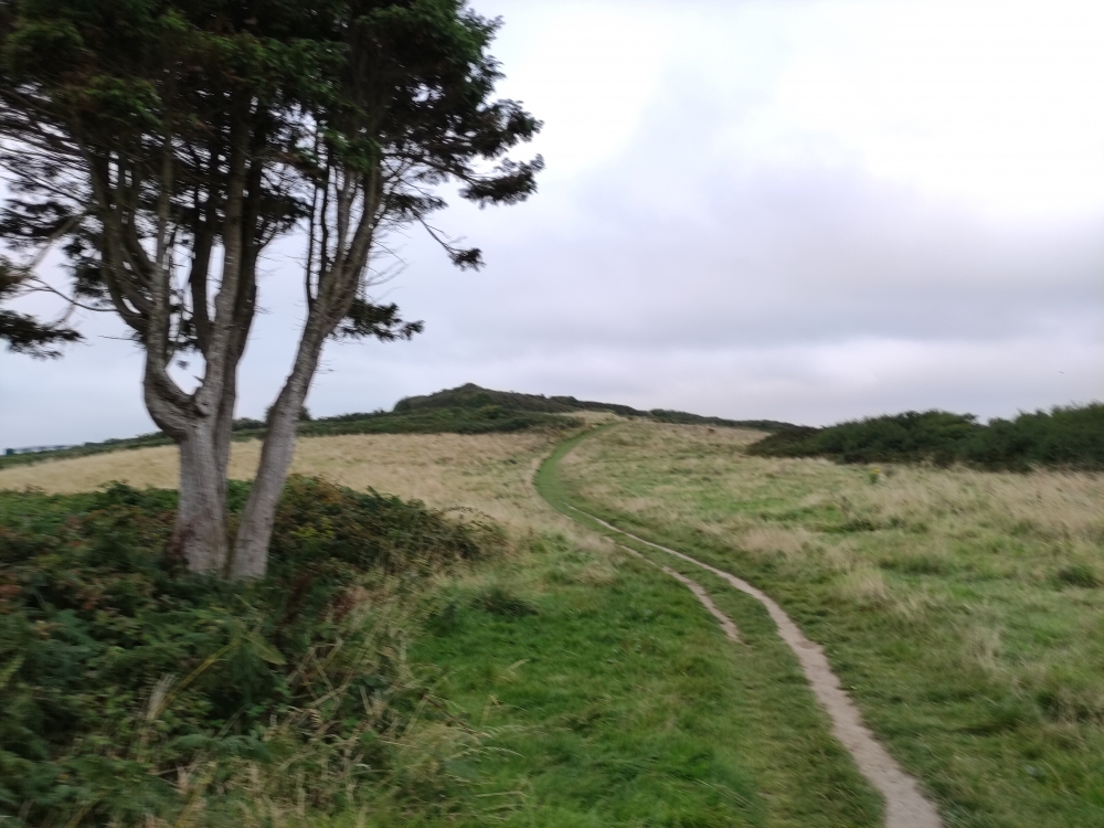 Wanderung James Fort: Weg