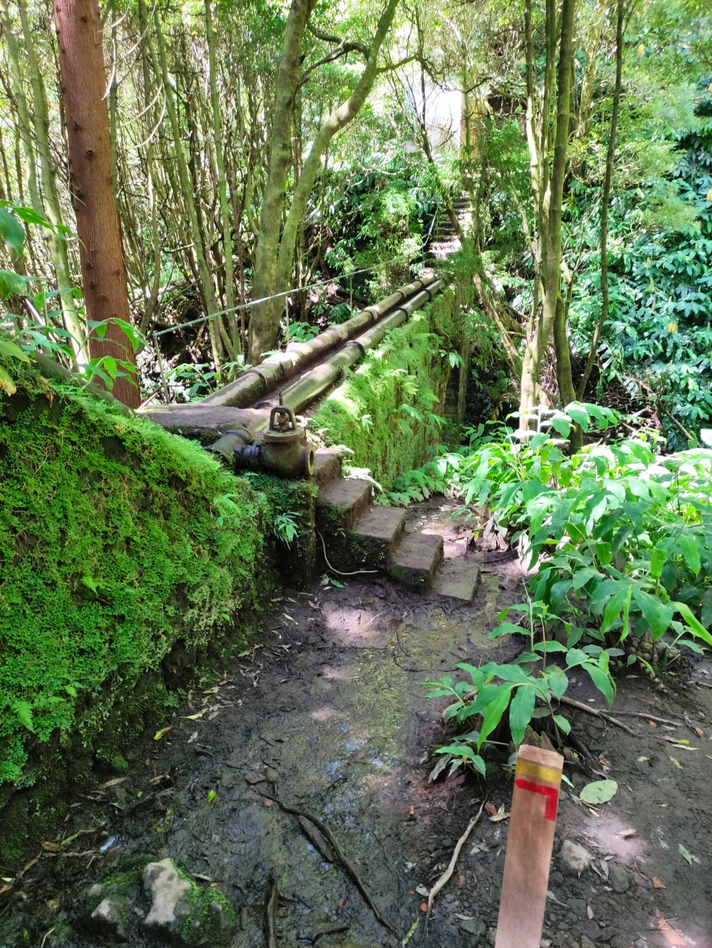 Wanderung Janela do Inferno: Über die Wasserleitungsbrücke