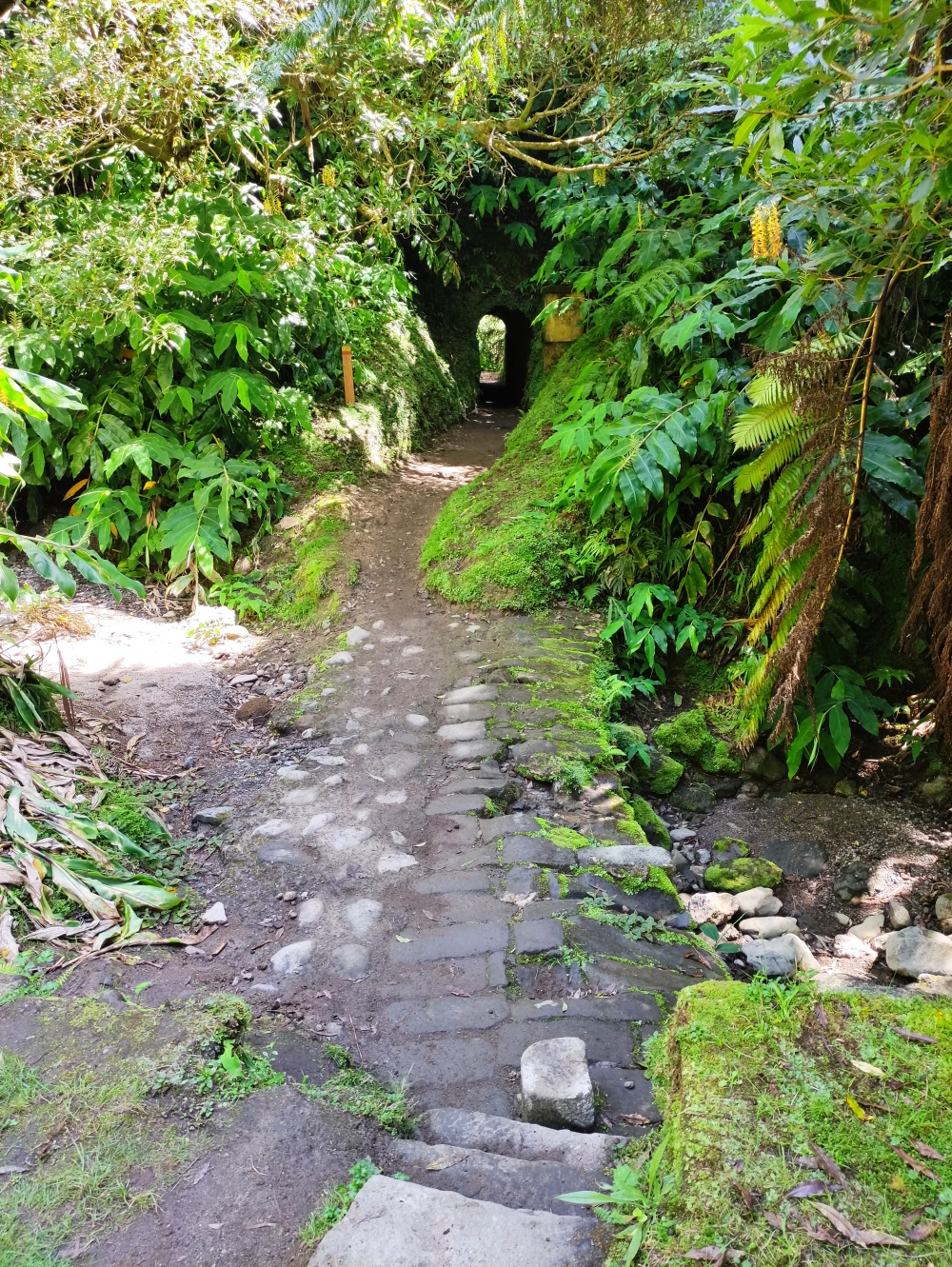 Wanderung Janela do Inferno: Zwei Tunnels auf dem Rückweg