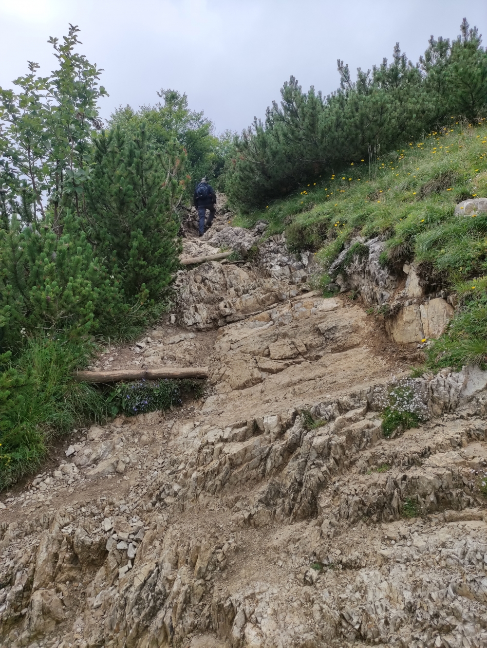 Wanderung Hirschhörnlkopf & Jochberg: Nur an einer Stelle etwas felsig