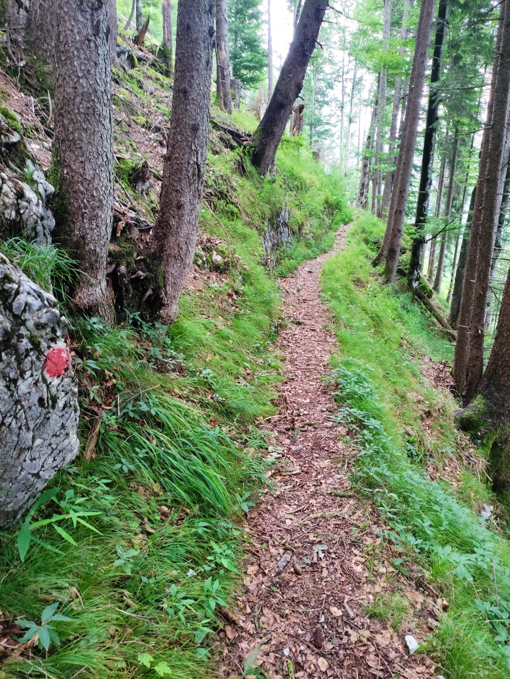 Wanderung Hirschhörnlkopf & Jochberg: Ein toller, alter Steig