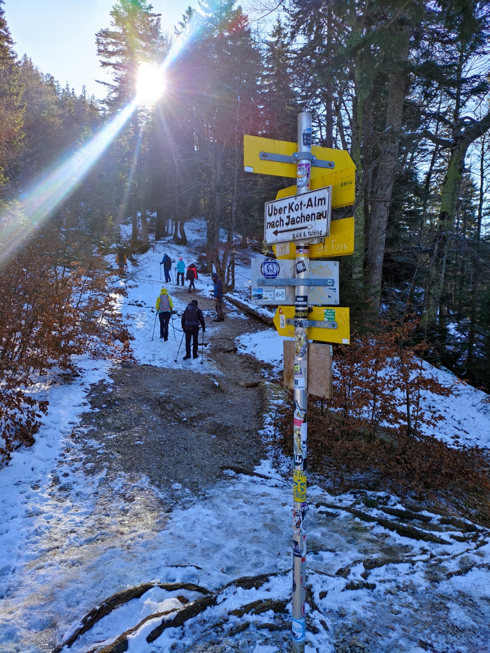 Wanderung Jochberg: Weg