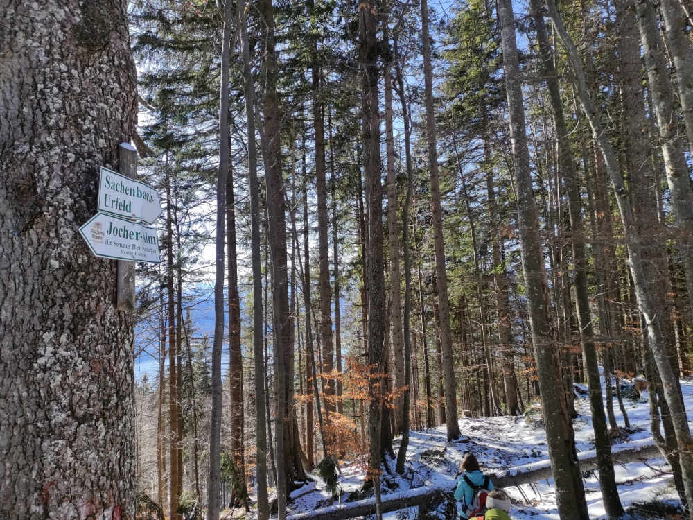 Wanderung Jochberg: Abstieg