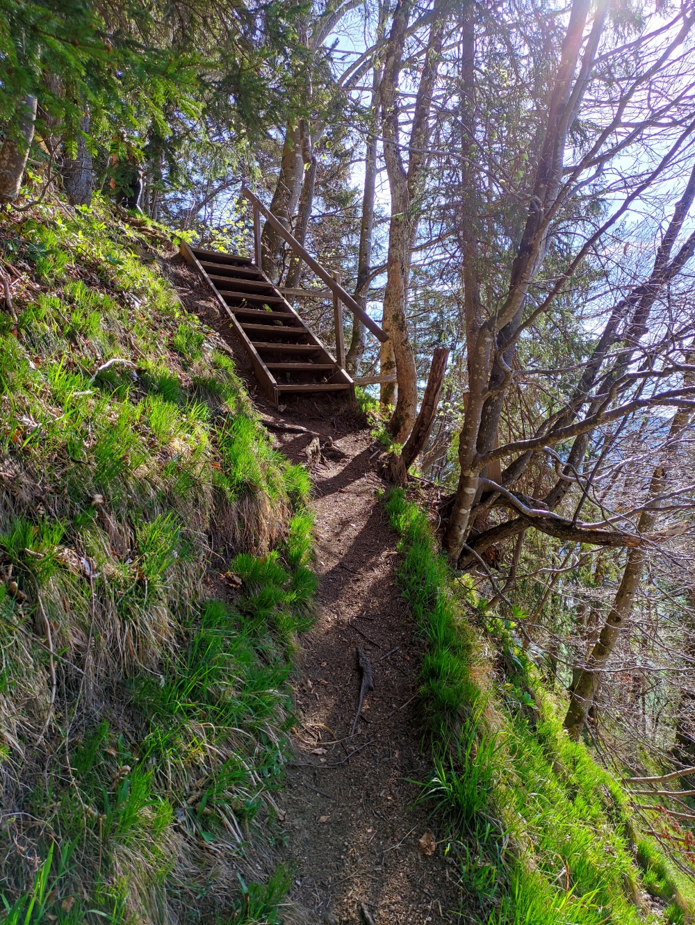Wanderung Jochkopf: Eine einsame Treppe