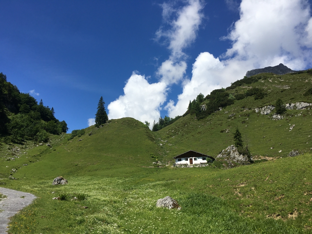 Klettersteig Ackerlspitze von St.Johann: Klettersteig Ackerlspitze von St.Johann: Die Kaiser Niederalm
