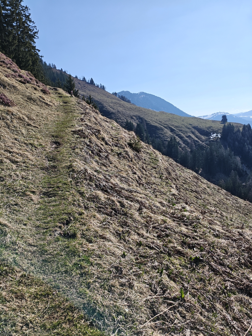 Wanderung Kalkstein: Aufstieg 