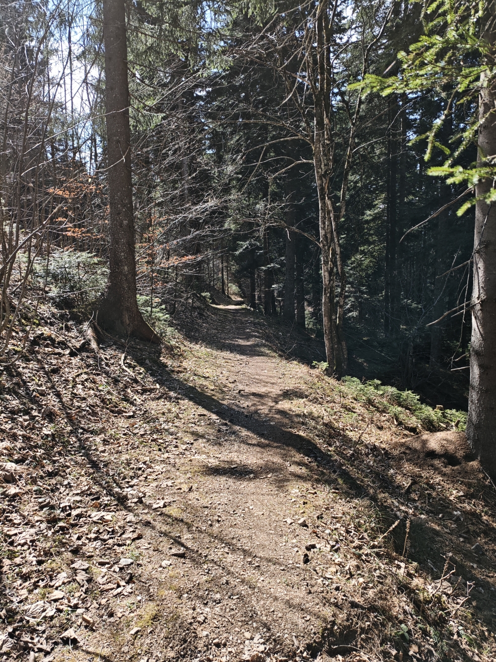 Wanderung Kalkstein: Abstieg 