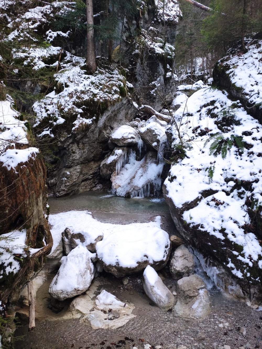 Kaltwasserfälle: Kaltwasserfälle im Winter