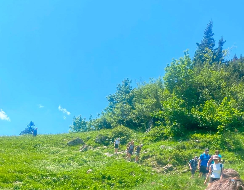 Kampenwand-Ostgipfel -> Steinlingalm: Wanderweg nach dem selversicherten, felsigen Abstieg vom Gipfel 