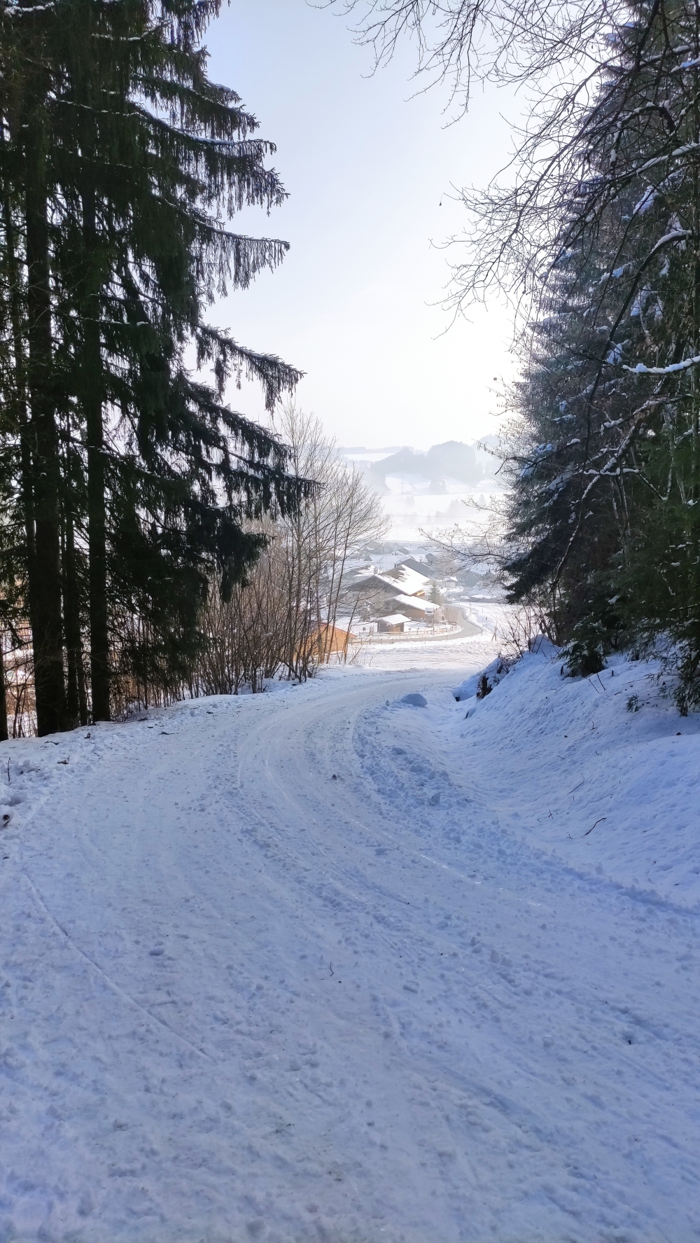 Rodeln Kappeler Alp: Rodelbahn