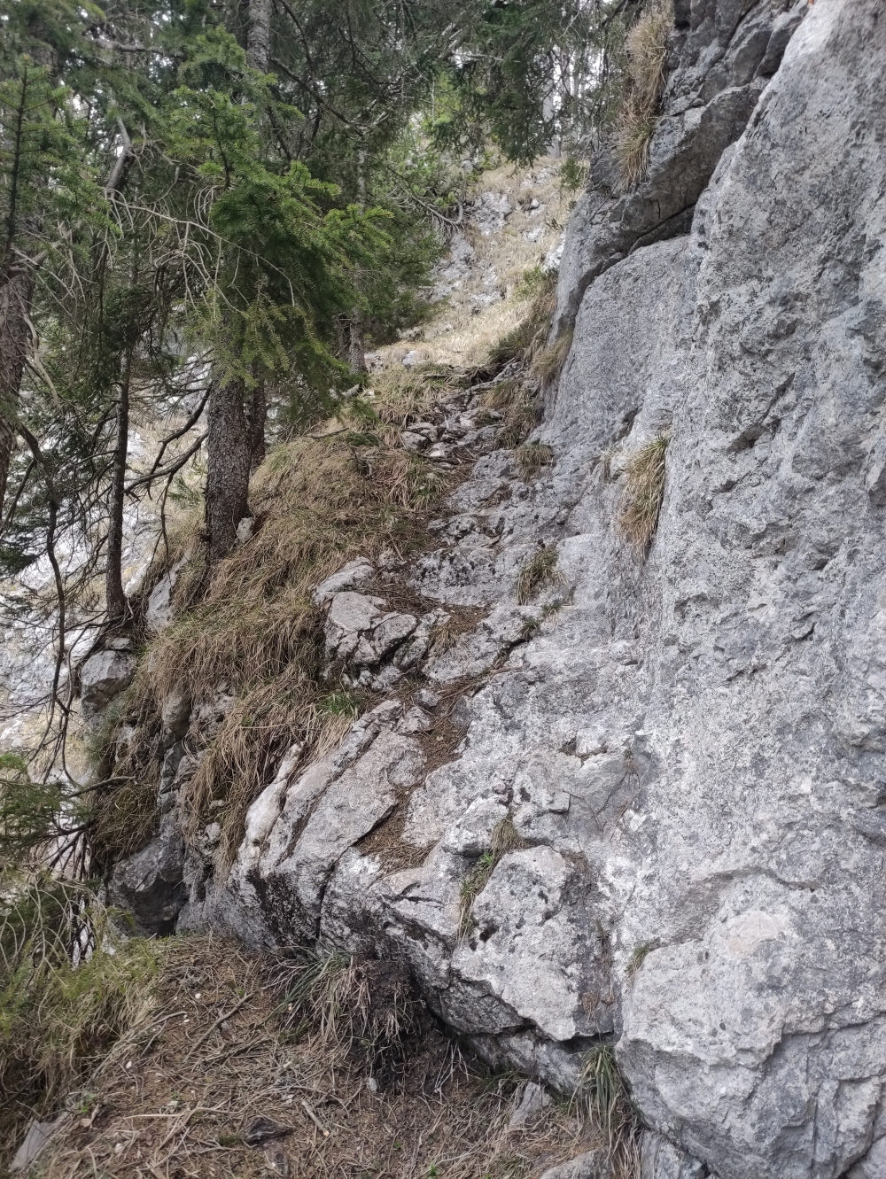 Wanderung Wachterlhorn: Über Steinstufen steil hinauf
