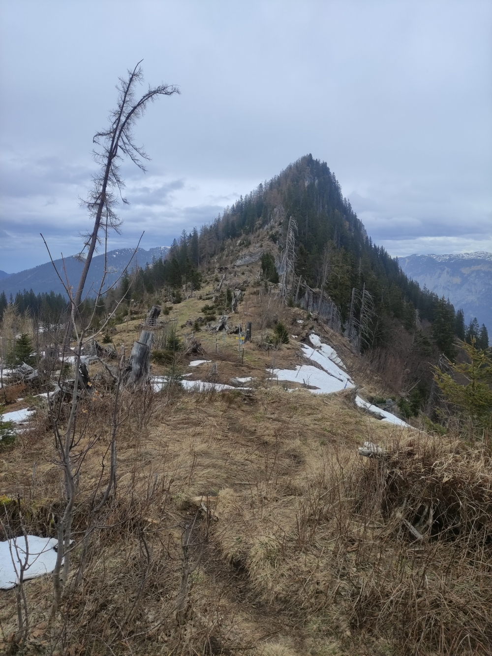 Wanderung Karspitz: Der Weg über das Karjoch