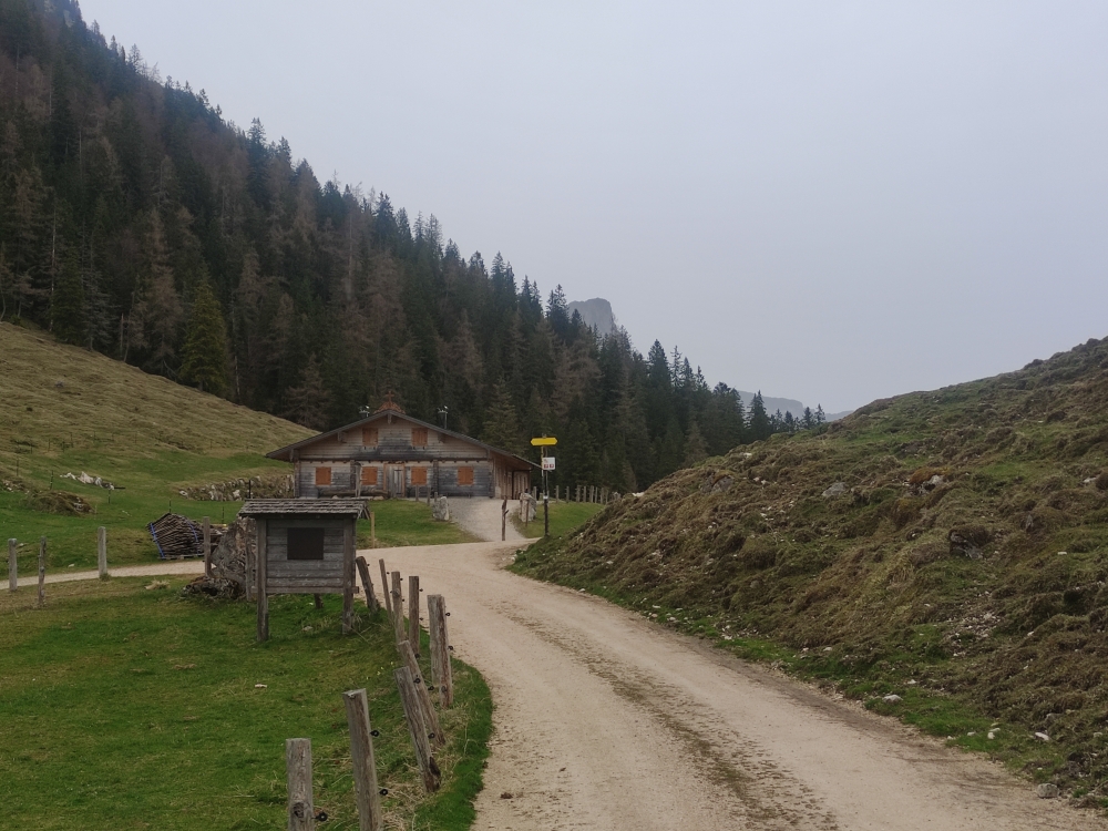 Wanderung Karspitz: Schotterstraße