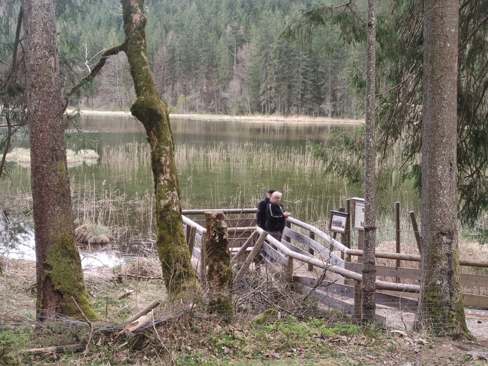 Wanderung Karspitz: Am Taubensee entlang