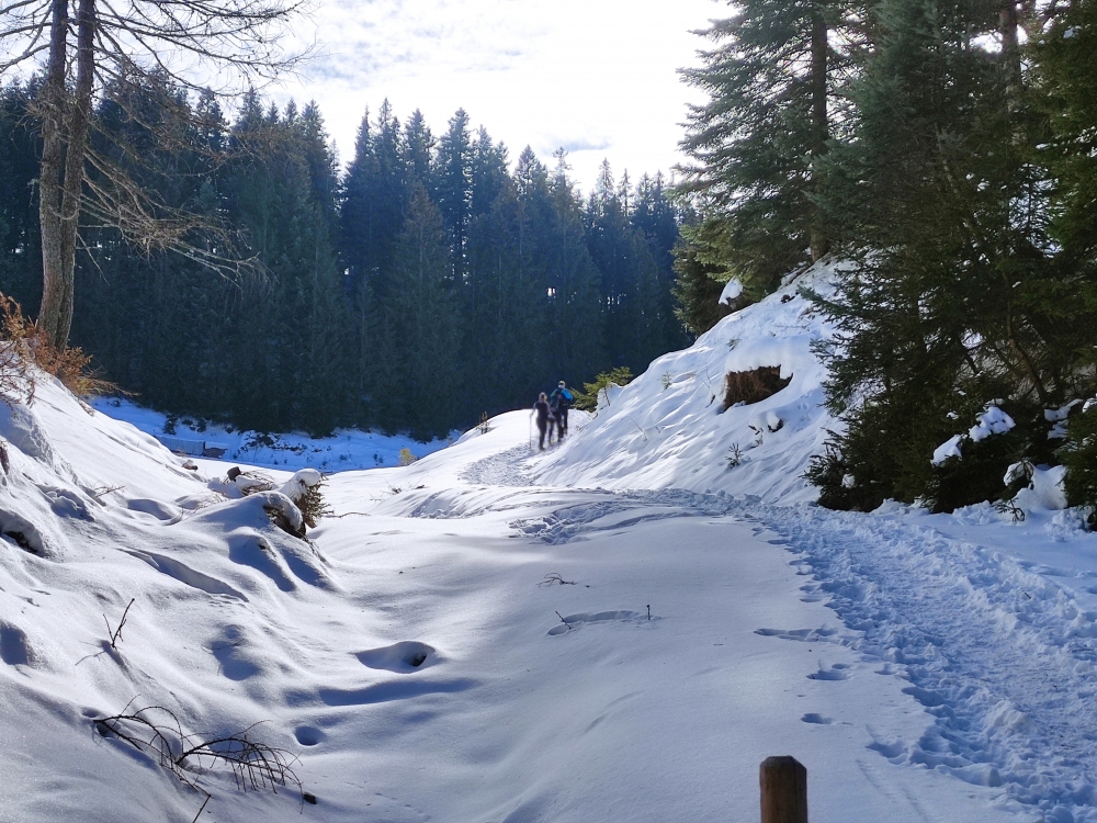 Wanderung Karspitze: Weg