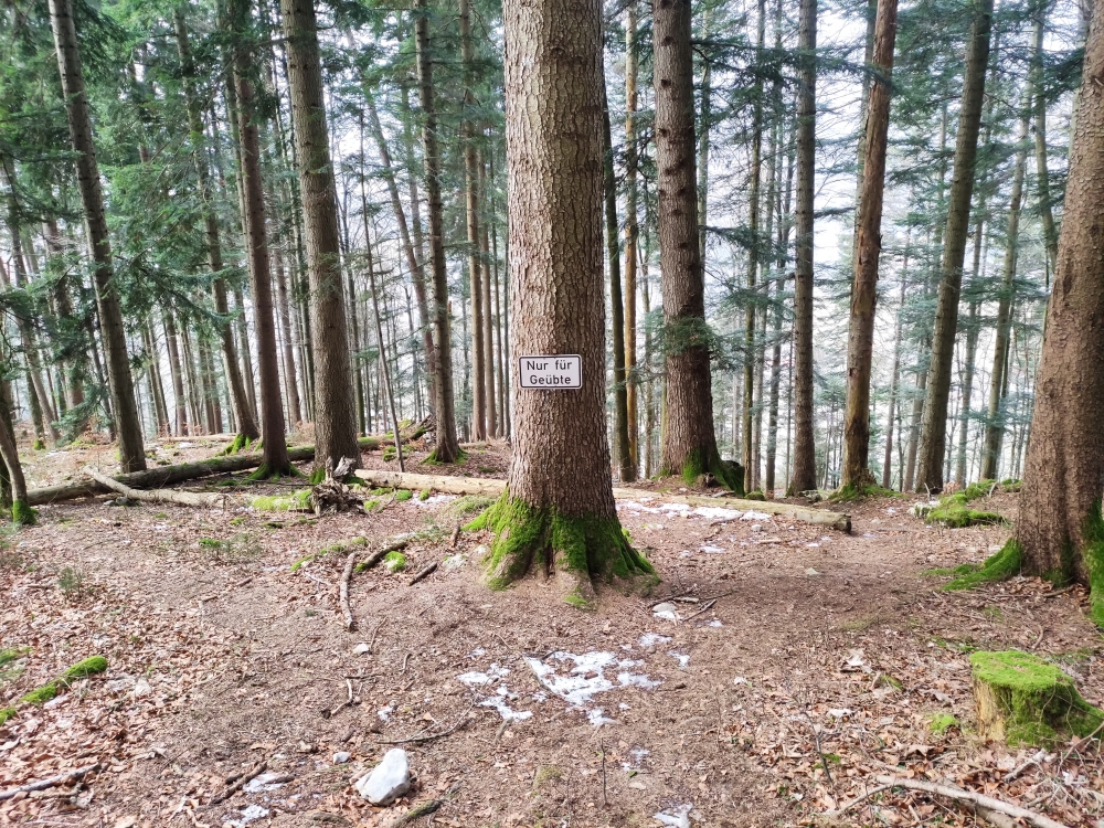 Wanderung Karspitze: Nur für Geübte