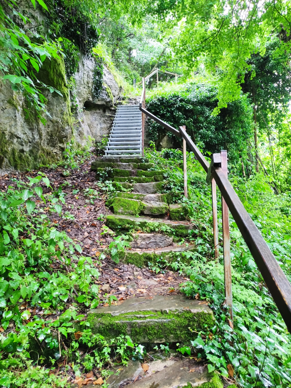 Wanderung Kastell von Momjan: Abstieg in den Burggraben