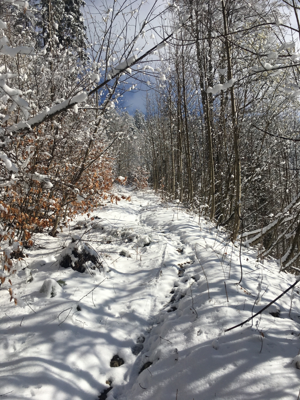 Wanderung Kemeikopf: Auch im Winter eine schöne Tour