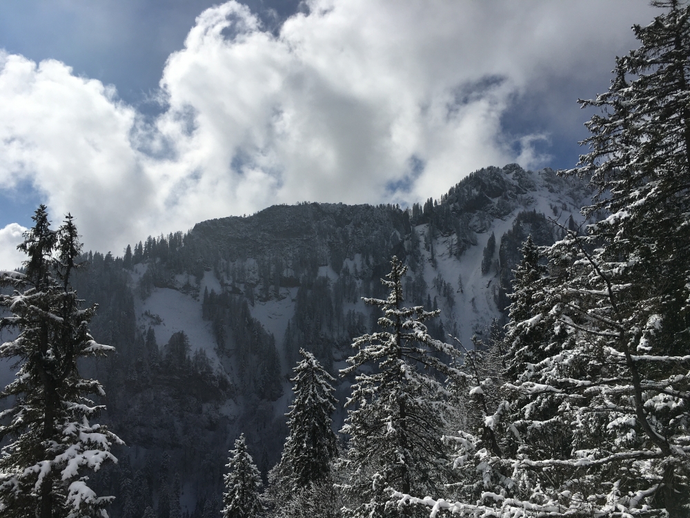 Wanderung Kemeikopf: Wanderung Kemeikopf: Blick nach Süden auf Kratzellahner und Kratzelschneid (Kemeikopf)