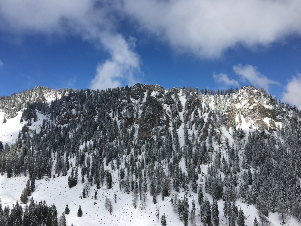 Wanderung Kemeikopf: Wanderung Kemeikopf: Blick nach Norden auf Thorauschneid (links) und Bogn Nosn (Bildmitte) (Kemeikopf)