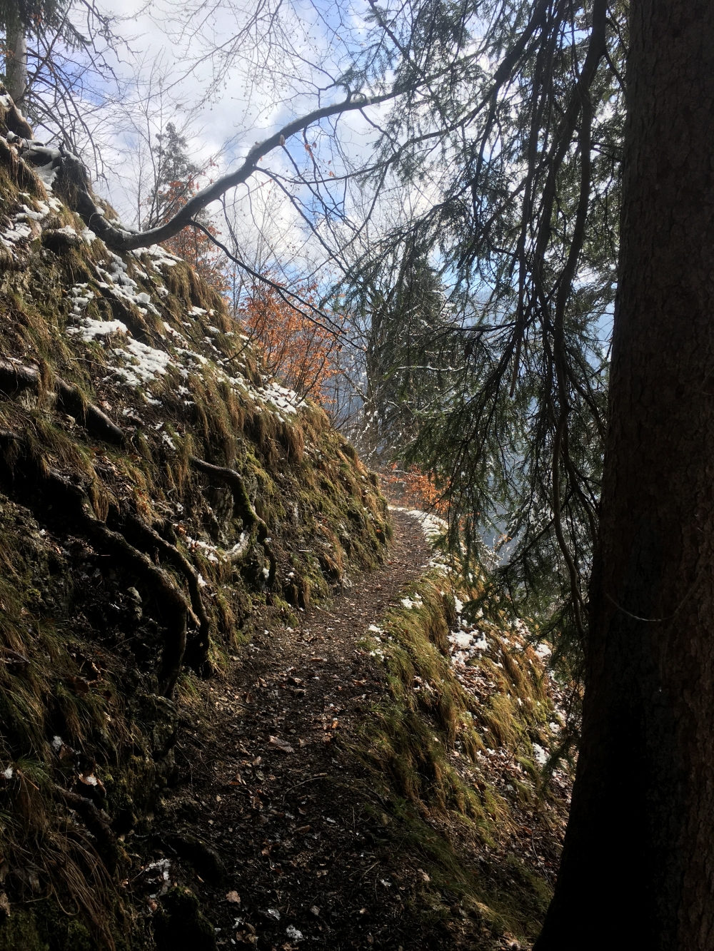 Wanderung Kemeikopf: Wanderung Kemeikopf: Höhenweg unterhalb des Kemeikopf