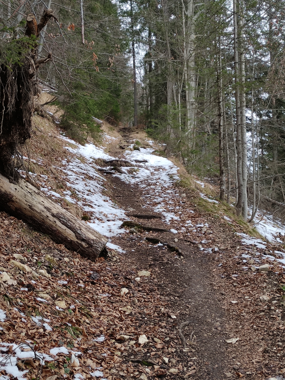 Wanderung Heuberg, Plessenberg und Kienberg: Steig zur Jocheralm