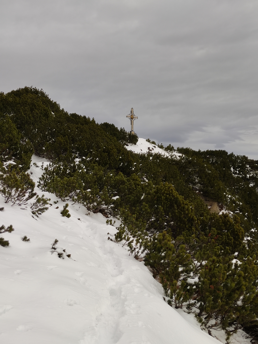 Wanderung Heuberg, Plessenberg und Kienberg: Die letzten Meter zum Plessenberg