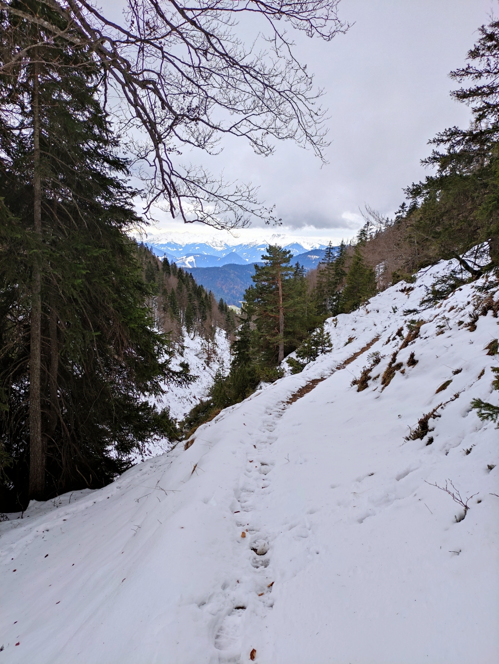 Wanderung Heuberg, Plessenberg und Kienberg: Durch den Mühlbach-Graben