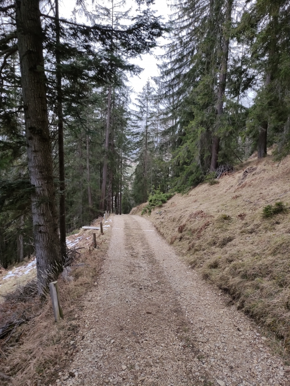 Wanderung Heuberg, Plessenberg und Kienberg: Steile Forststraße