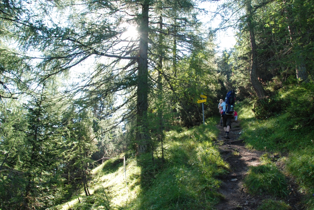 Wanderung Kirchbergköpfl: Zum Kirchbergköpfl