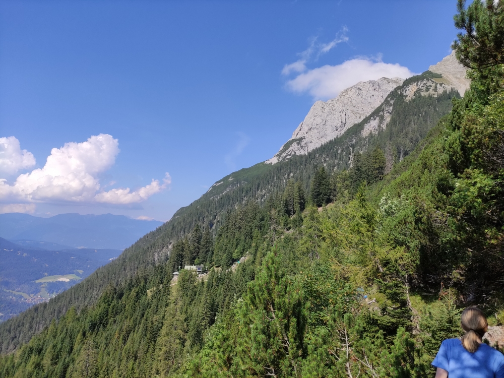 Brunnsteinanger -> Brunnsteinhütte: Durch Latschen-Serpentinen