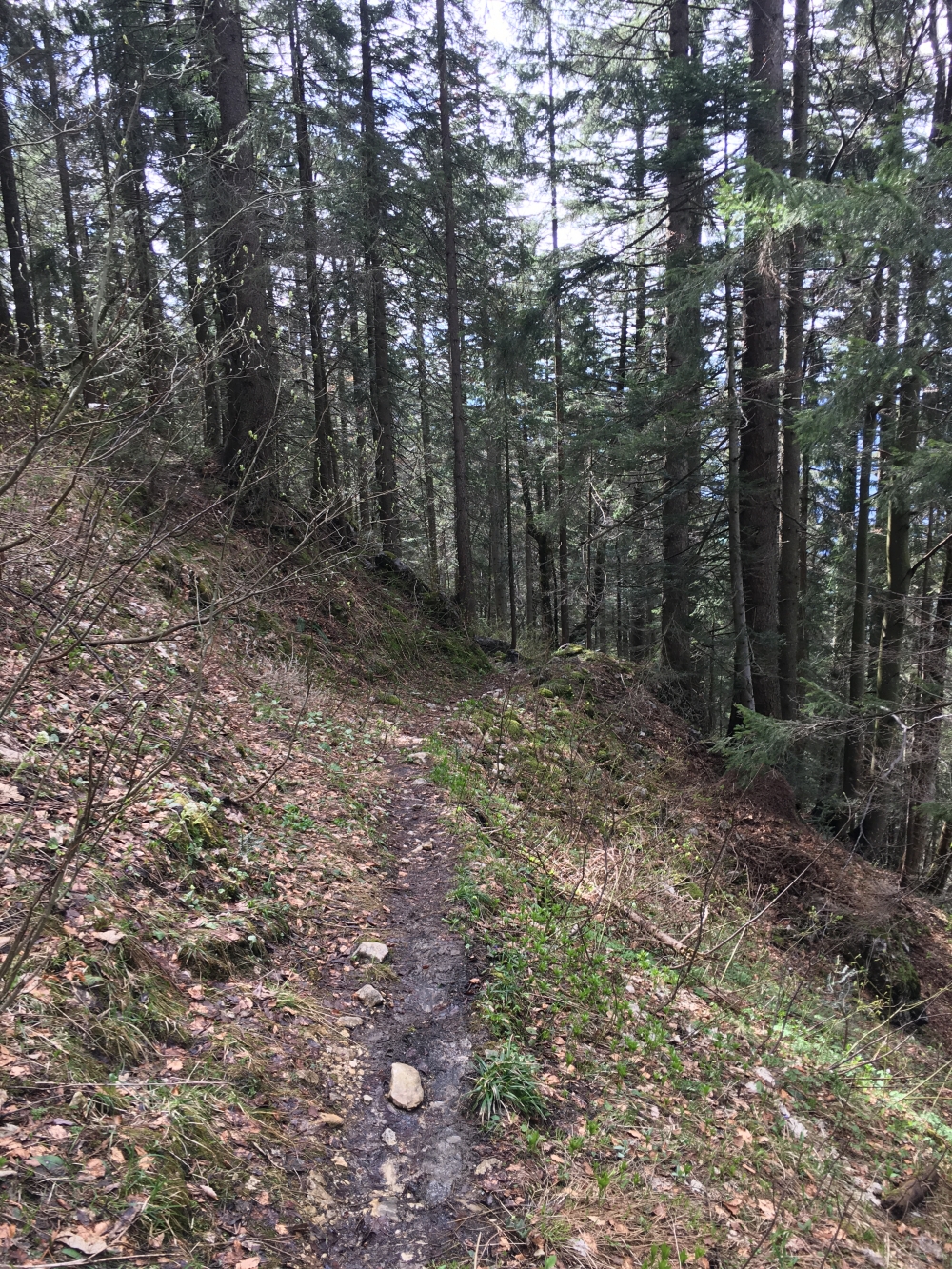Wanderung Kleiner Rechenberg: Historische Pfade