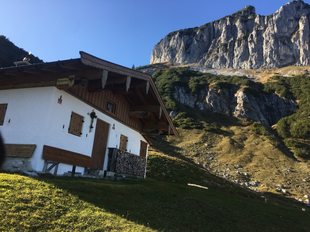 Kleinmosenalm: Kleinmosenalm