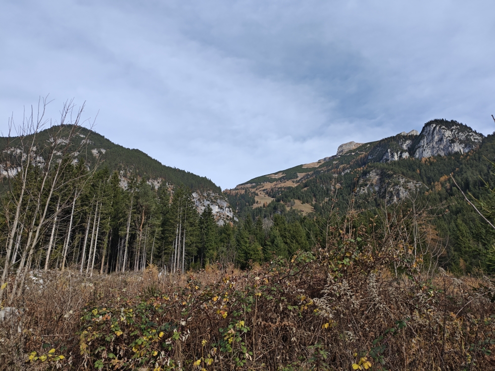 Wanderung Klobenjoch: Blick zur Dalfaz-Alm