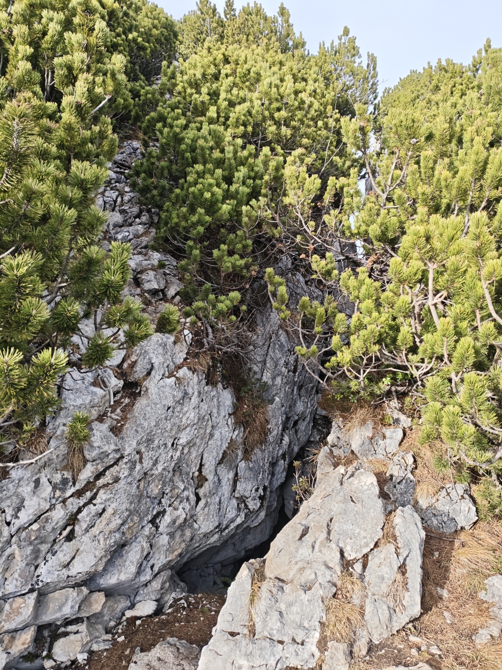 Wanderung Klobenjoch: Kurz vor dem Gipfel