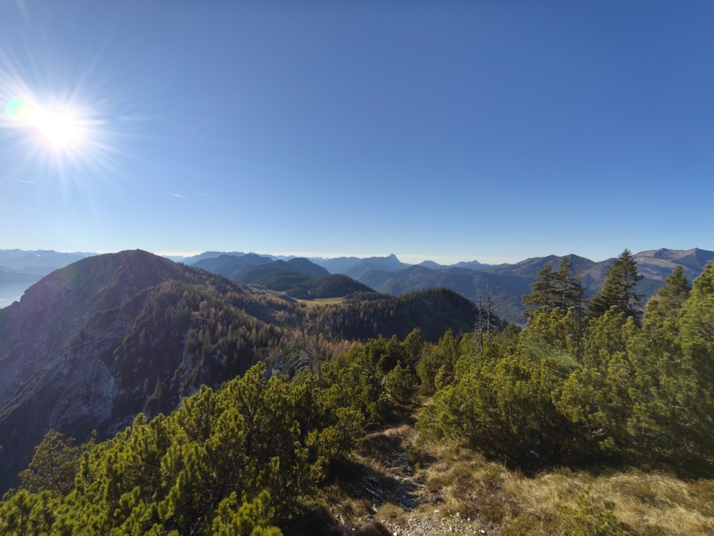 Wanderung Köglhörndl: Latschengasse - Blick zum Hundsalmjoch
