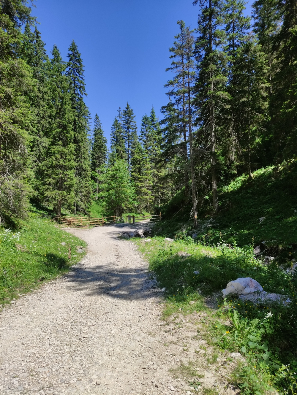 Bike & Hike Königshaus am Schachen: Fahrstraße