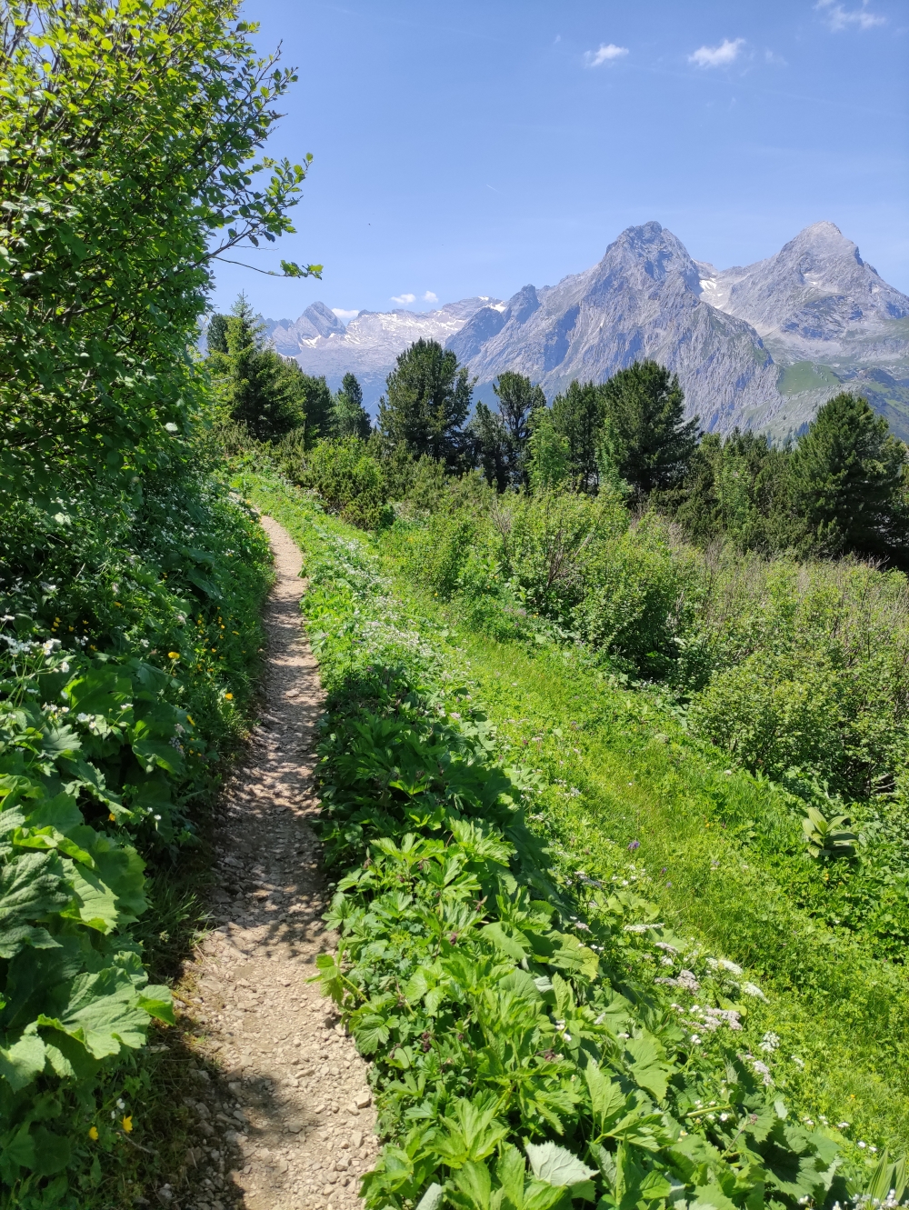 Bike & Hike Königshaus am Schachen: Weg zum Aussichtspavillon