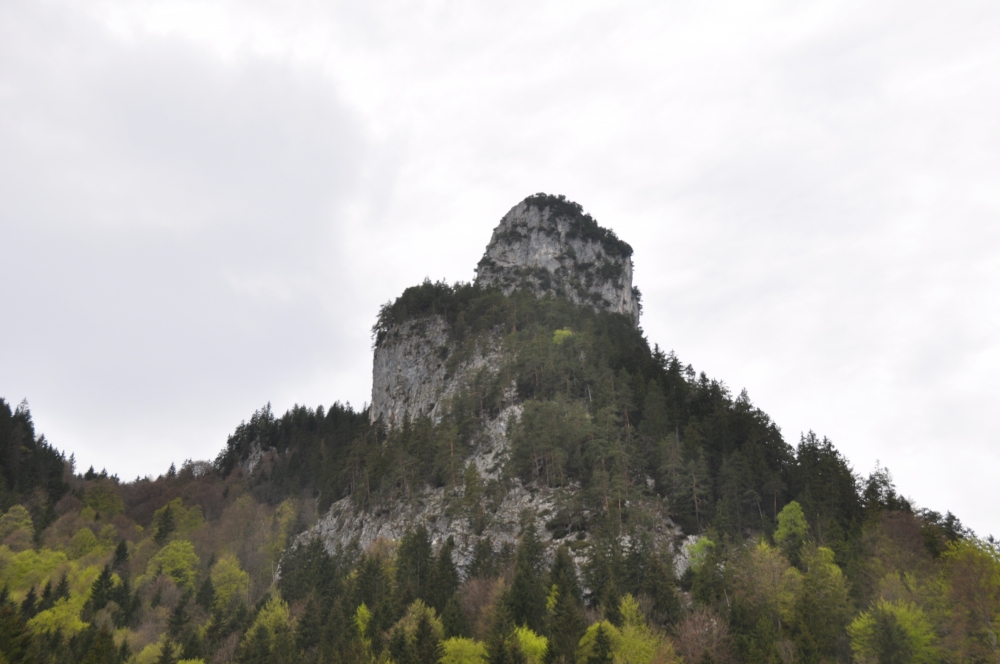 Wanderung Sonnenberggrat: Wanderung Sonnenberggrat: Blick vom Tal auf den Kofel
