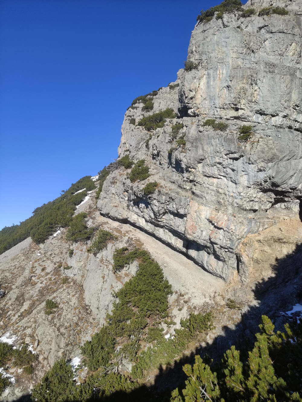 Wanderung Kohlbergspitze: Aufstieg bis in den Sattel neben dem Zigerstein nur T4