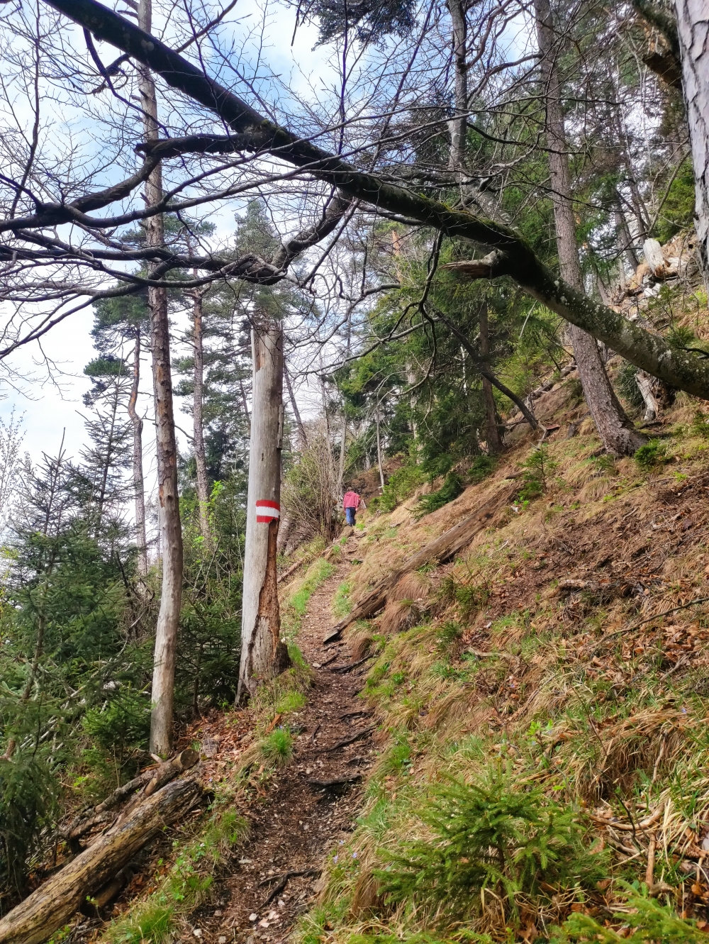 Wanderung Kranzhorn: Kranzhornsteig auch Erlersteig genannt